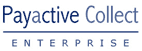 Payactive Collect Enterprise